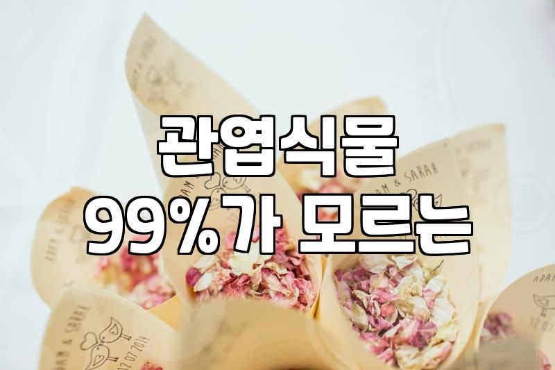 실패 없는 개업축하 화분 선택을 위한 전문가의 현실적인 가이드