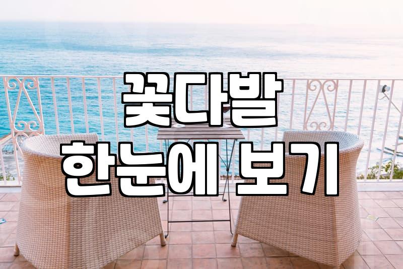 나에게 맞는 꽃, 어떻게 고를까