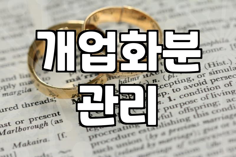 개업이나 승진 선물로 화분을 고를 때 고려해야 할 현실적인 기준들