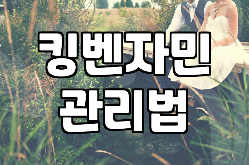 사무실이나 매장에 벤자민 화분을 놓을 때 알아두면 좋은 점