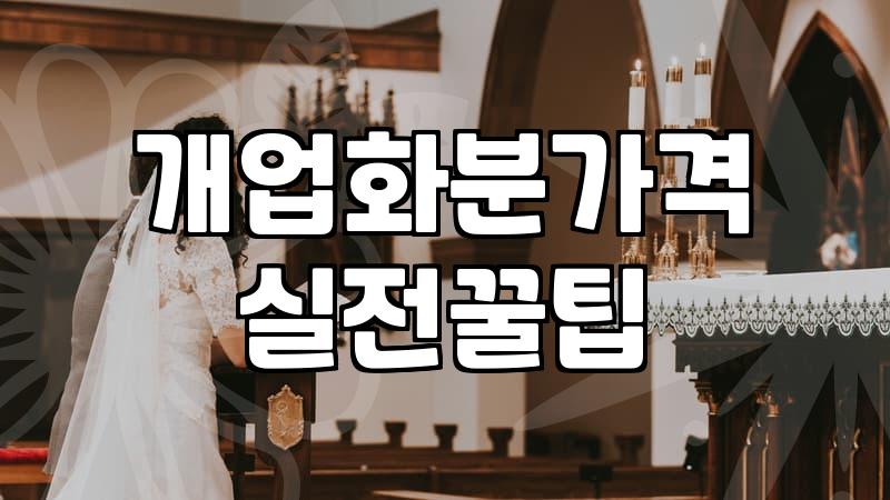 식당개업화분 적정 가격대와 관리가 쉬운 식물 선택법