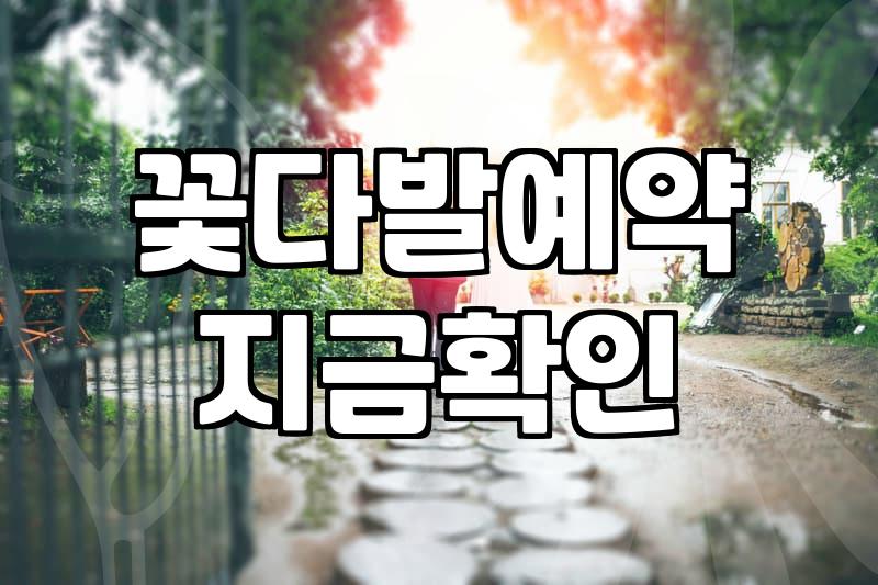 시들어버릴 낭만에 기꺼이 지불하는 비용에 대하여