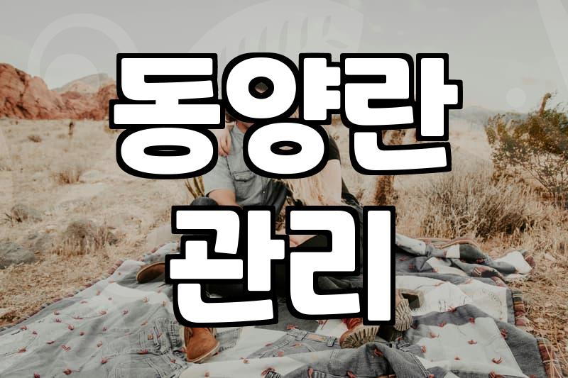 철골소심, 정말 가성비 좋은 난일까? 10년 키워본 후기