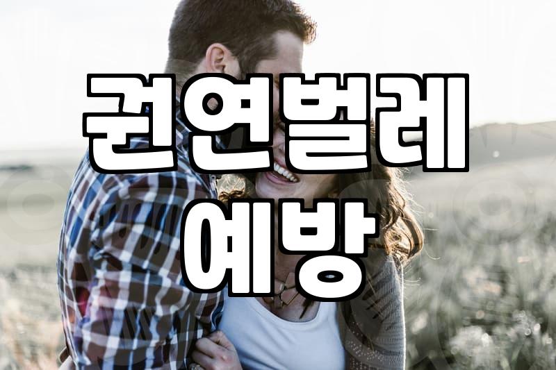 실내 드라이플라워 장식 전 주의해야 할 점
