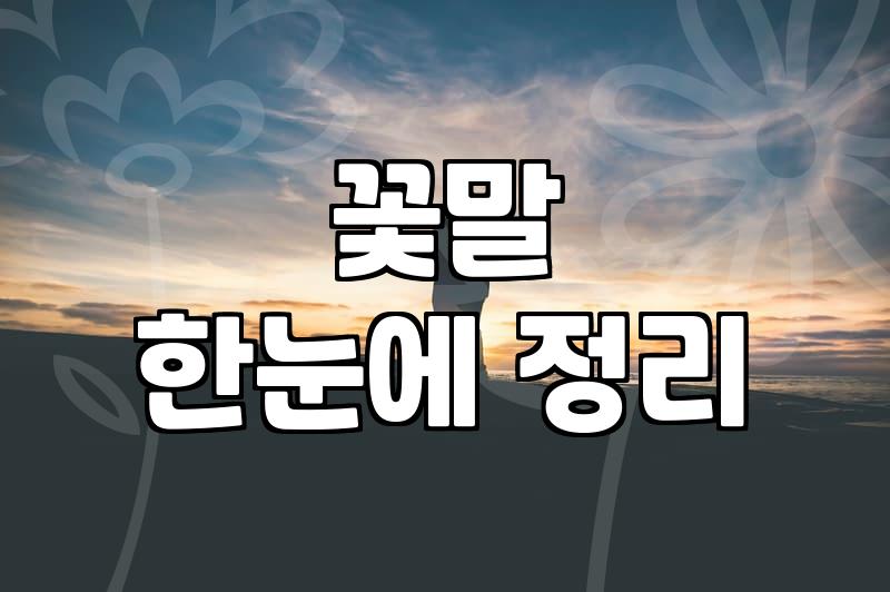 1주년 꽃 선물, 센스 있게 준비하는 법