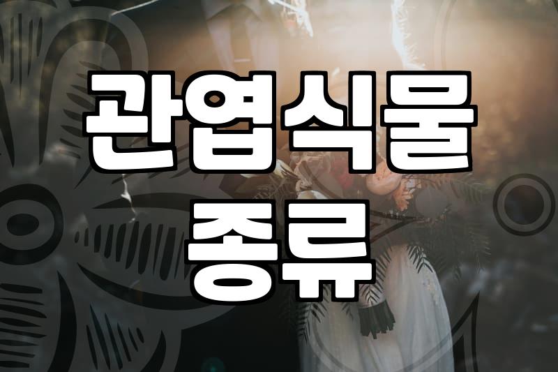 개업화분꽃배달 비용과 주문 시 꼭 확인해야 할 선택 기준