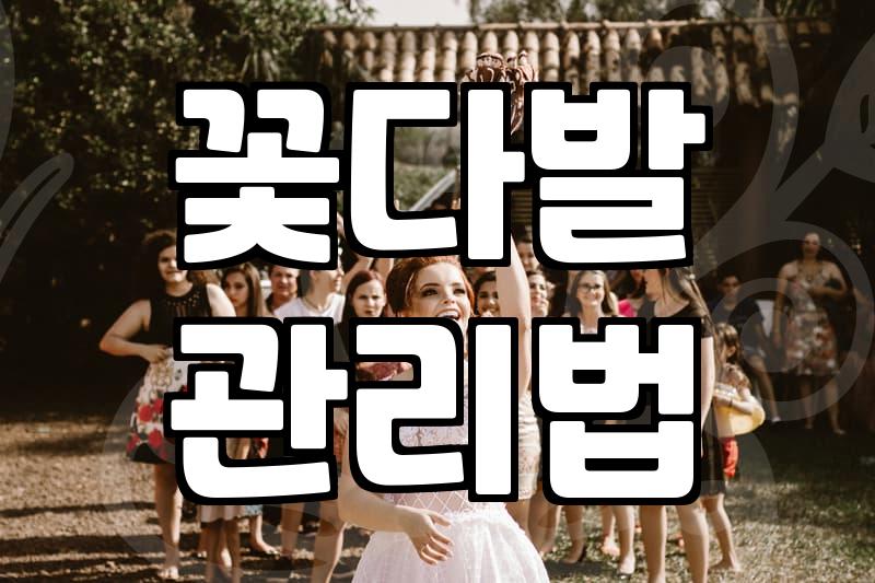 꽃다발 주문할 때 알아두면 좋은 실전 팁들