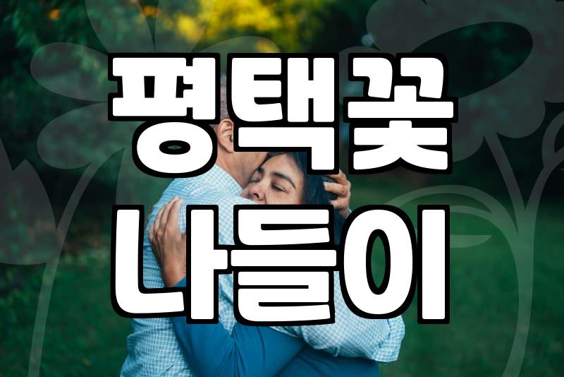 평택꽃 나들이를 고민하는 직장인을 위한 지극히 현실적인 조언