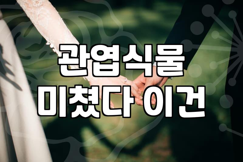 전주꽃 주문 시 실패 없는 식물 선택 기준과 관리 노하우