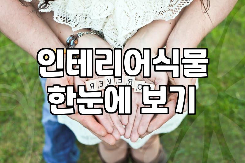 일상에 작은 위로, 나만의 꽃 선택 가이드