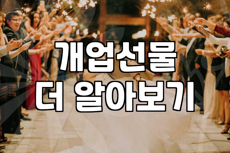 개업 화분, 정말 ‘돈 세는 소리’ 들릴까? 현실적인 조언