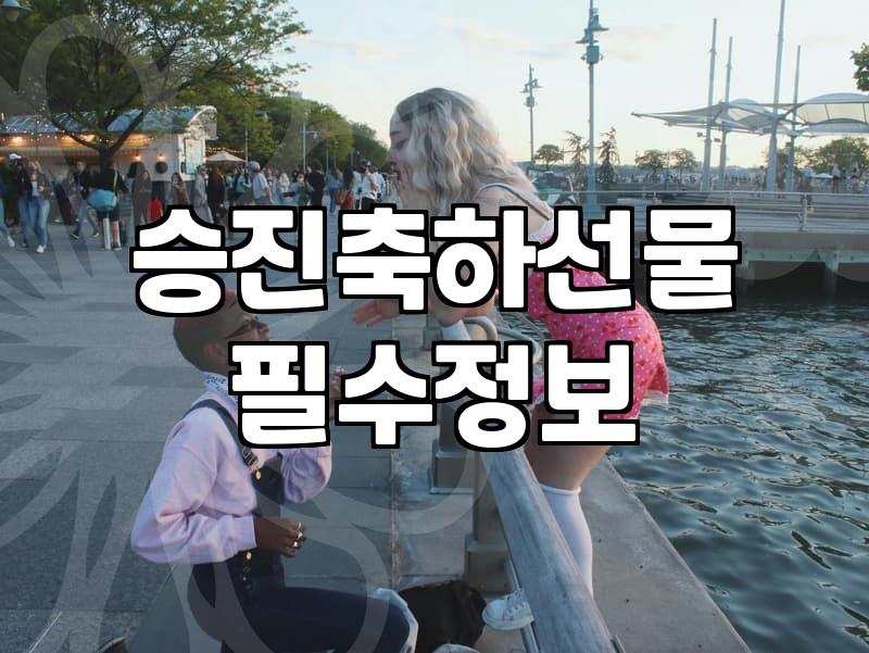 남자꽃다발 구성 요소와 가격대별 선택 기준