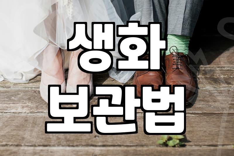 안개꽃 구매 전 꼭 알아야 할 가격과 보관 기간