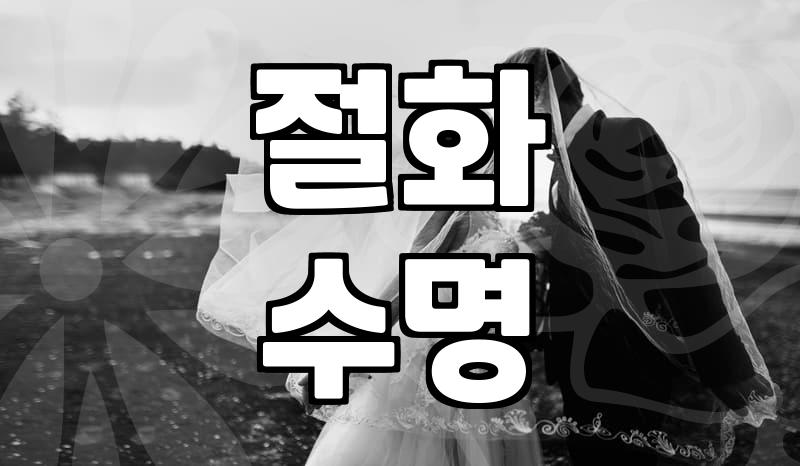 실패 없는 꽃주문을 위해 반드시 알아두어야 할 기준