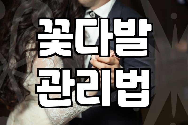 근처 꽃집에서 예쁜 꽃다발을 고를 때 놓치기 쉬운 것들