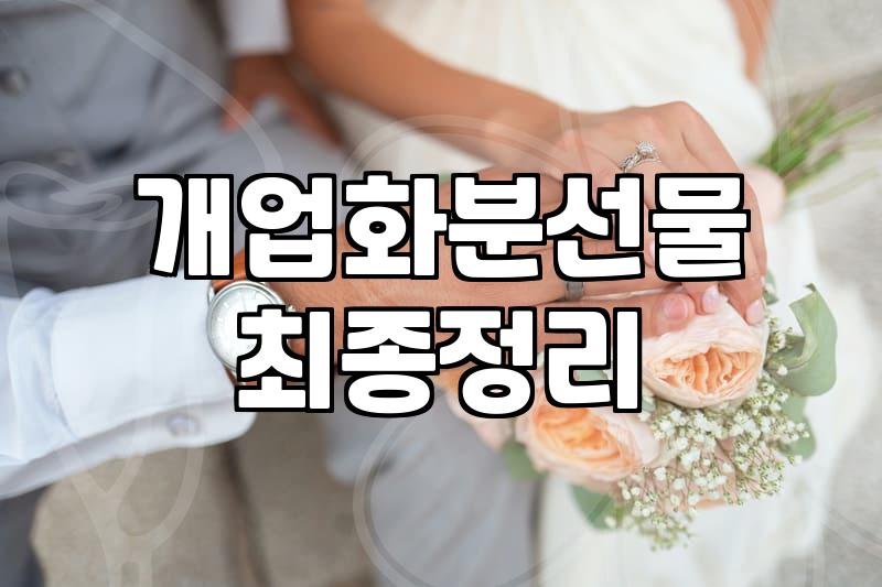 사무실 오픈 선물 고르다 지쳐서 그냥 내 눈에 예쁜 걸로 샀다