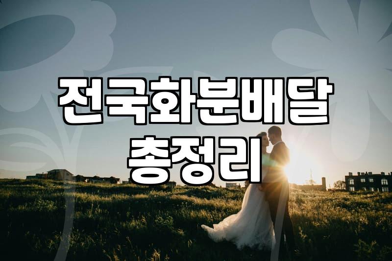 개업화분 종류별 가격대와 식물 관리 요령