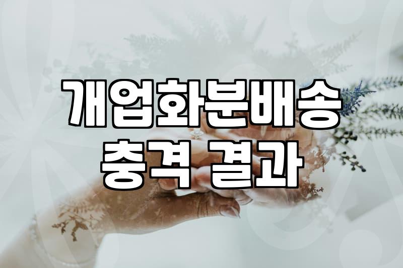 개업식 화분 선택부터 배송까지 실질적인 체크리스트