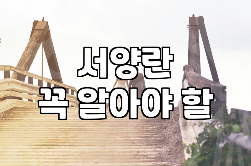 부모님 생신 꽃 선물, 동양란과 서양란 사이에서의 고민