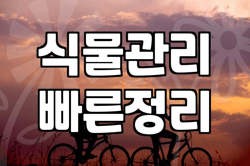 바쁜 당신을 위한 사무실화분, 실패 없는 선택 가이드