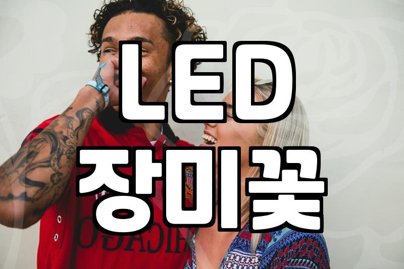 장미 무드등, 낭만을 기대했다면 꼭 알아야 할 현실적인 이야기