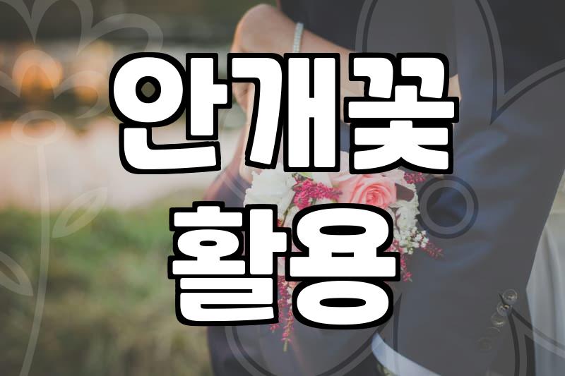 안개꽃을 선물하거나 직접 보고 싶을 때 알아두면 좋은 점들