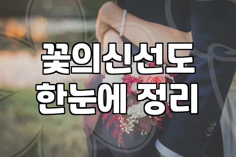 행복한플라워 주문 시 실패하지 않는 실전 노하우