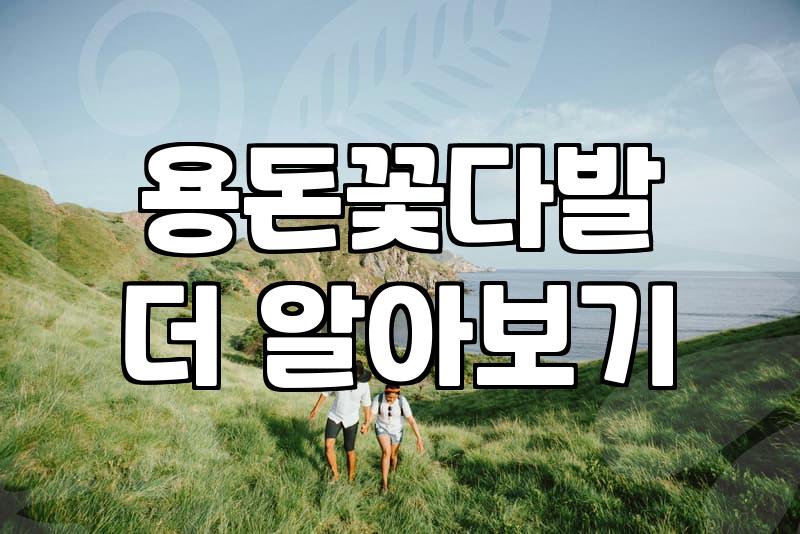 현금꽃다발 제작 시 현금 훼손 방지와 필수 준비물