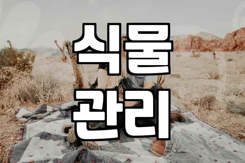 실패 없는 꽃농원 방문을 위한 전략적 선택 기준