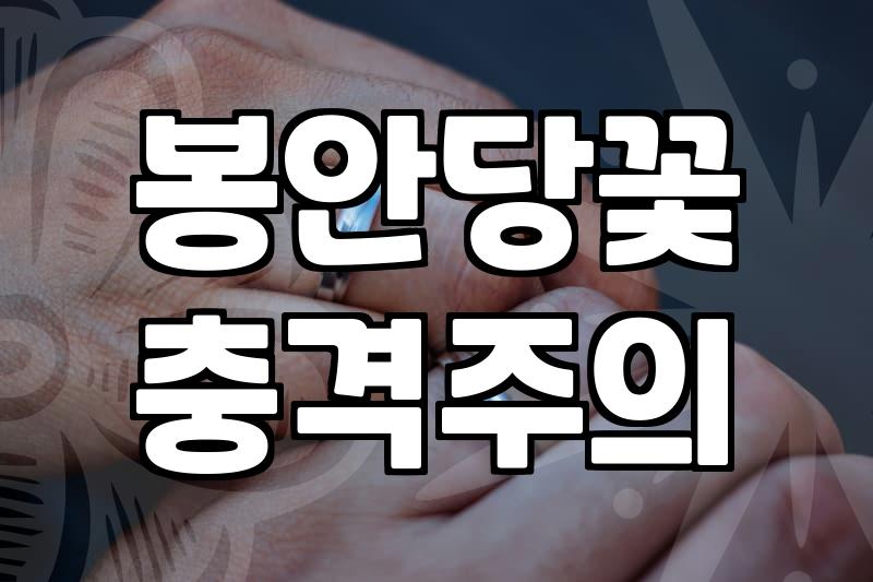 성묘꽃다발 선택 기준과 묘소 환경에 따른 관리 방법