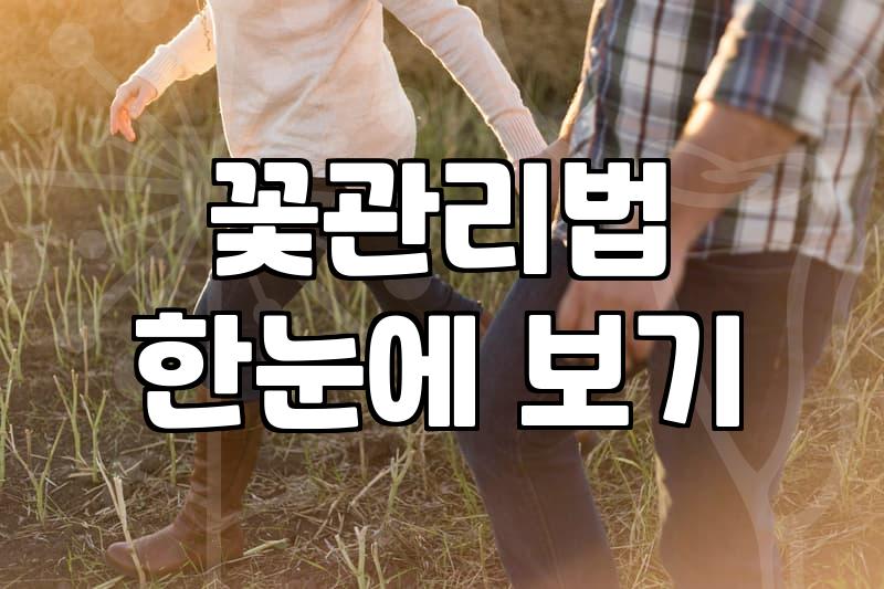 생일꽃다발, 이것만 알면 실패 없다