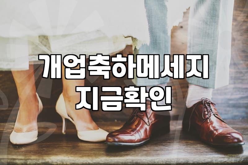 개업화분, 이거 진짜 괜찮을까? 경험자가 말하는 현실적인 선택 가이드