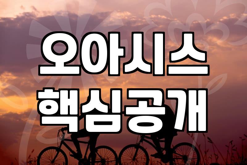 실패 없는 꽃바구니선물 고르는 기준과 관리 팁