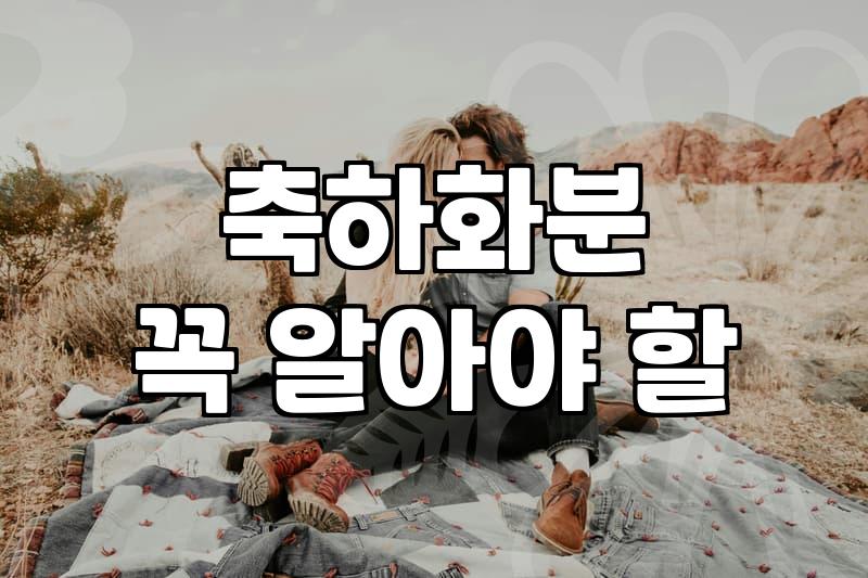 의정부에서 꽃을 산다는 것: 예쁜 꽃보다 중요한 현실적인 고민들