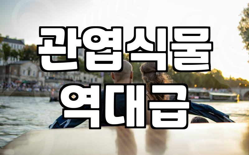 개업화분, 센스 있는 축하 선물 고르는 법