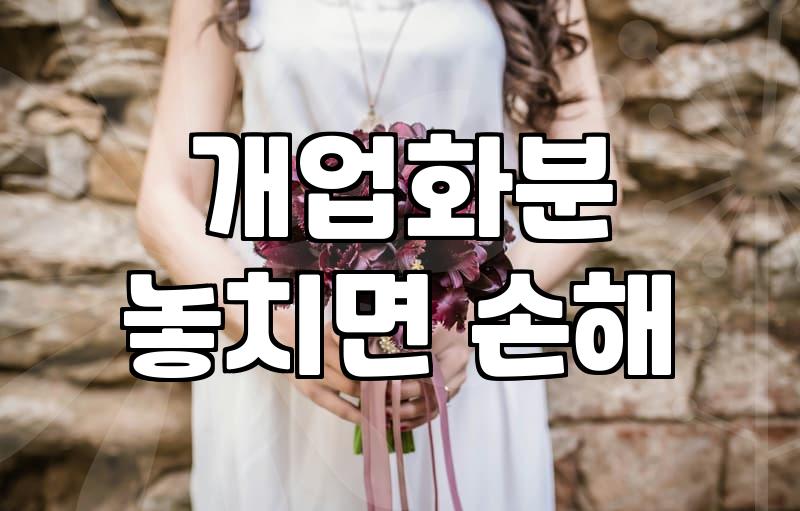 대형화분, ‘있어 보이는’ 것만이 능사가 아니더라: 30대 직장인의 솔직 경험담