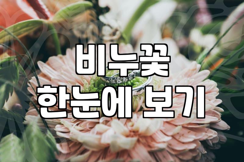 크리스마스꽃다발 가격 구성과 예약 시기