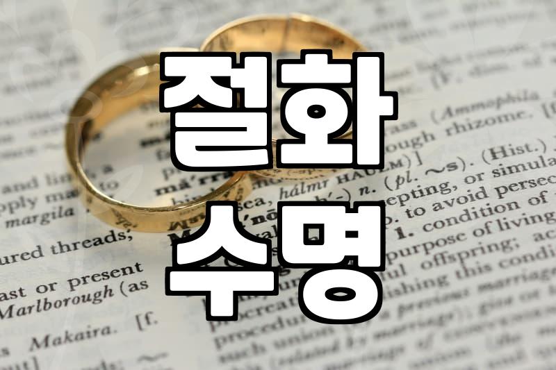 오래가는 프리지아꽃 관리법과 화병 선택의 기준