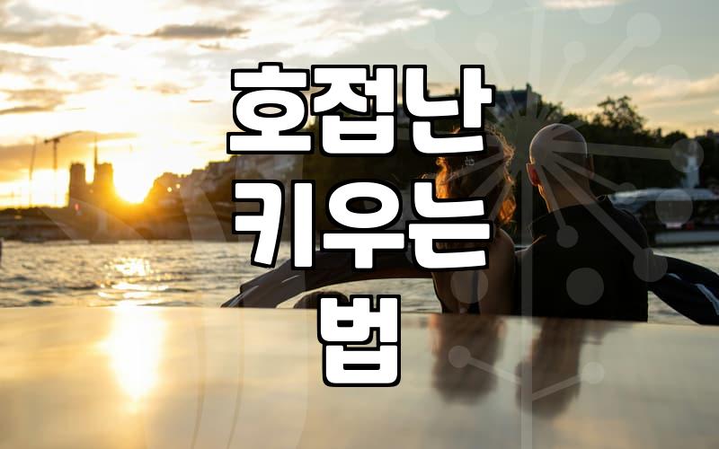 개업이나 승진 축하용 서양난, 오래 두고 관리하는 방법