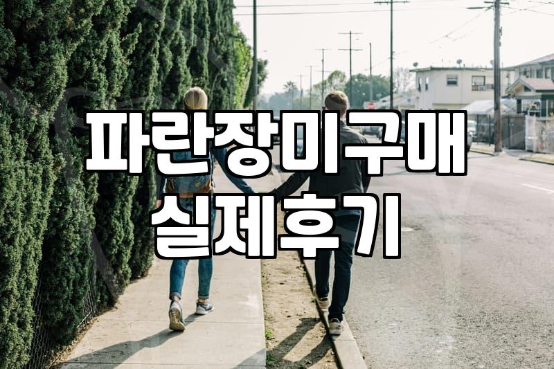 파란 장미를 구하러 굳이 봉담까지 다녀왔던 날