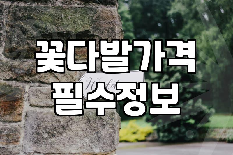 꽃다발 예산 5만 원으로 만족스러운 결과물을 얻으려면