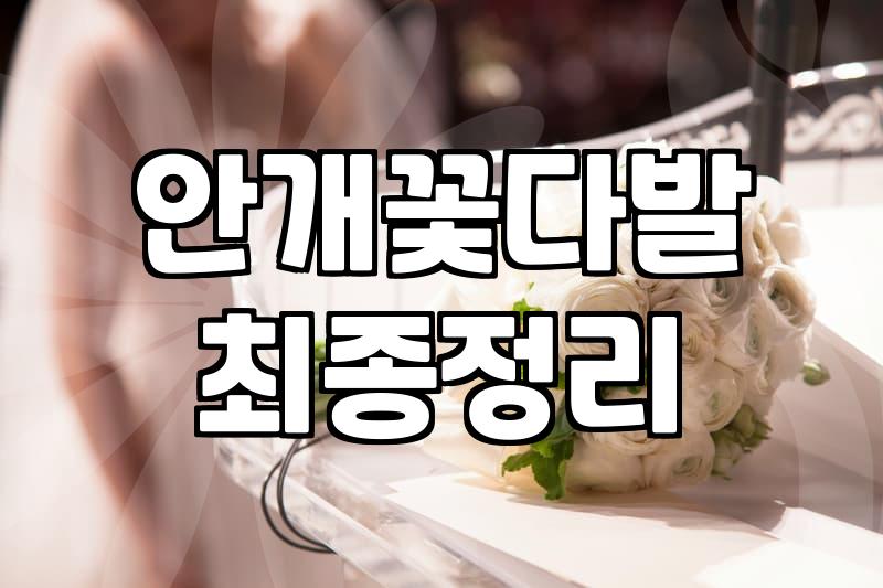 안개꽃 한다발을 들고 집에 돌아오는 길의 기분