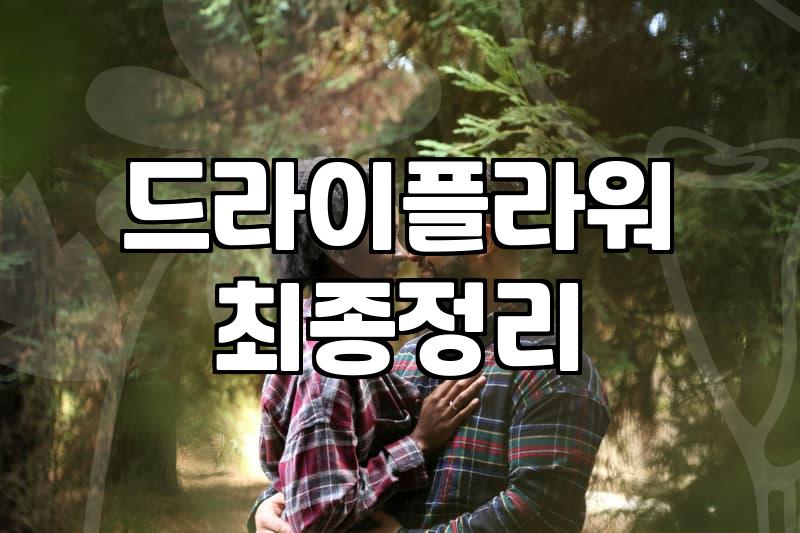 안개꽃을 선물할 때 놓치기 쉬운 관리 요령과 장단점