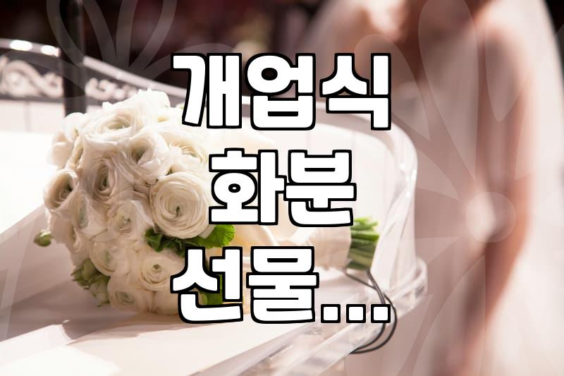 친구가 무인 빨래방을 열었다는데 화분만 열 개가 넘게 들어왔다