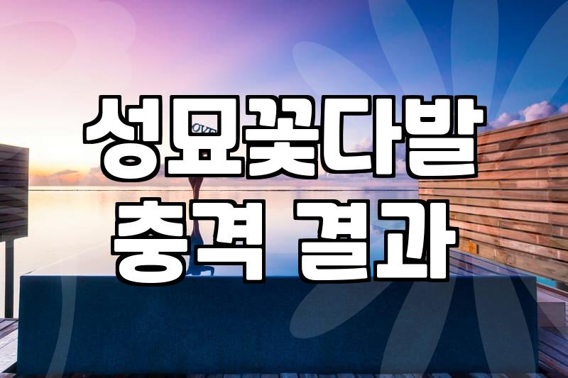 성묘 꽃다발, 생화냐 조화냐 고민하는 당신을 위한 현실적인 가이드