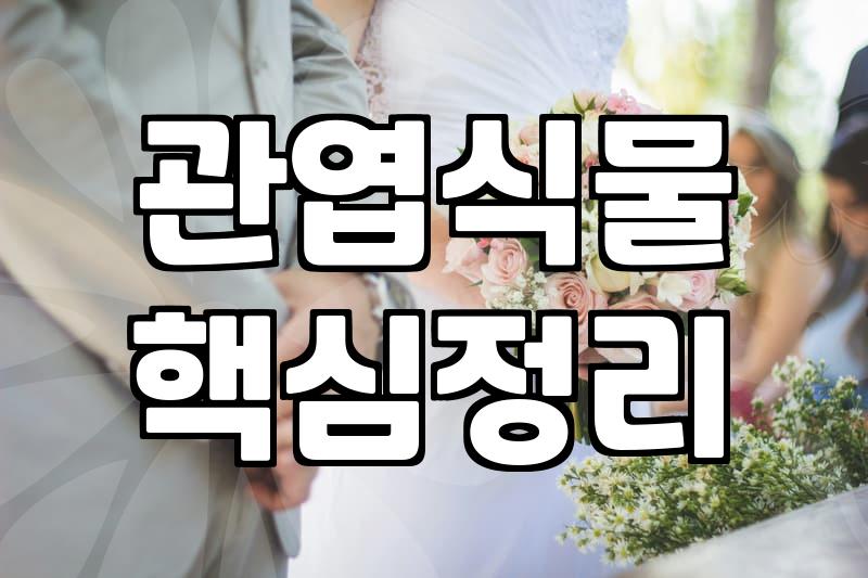 실패 없는 개업화분 선택과 매장 분위기를 결정짓는 안목