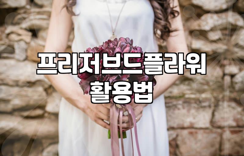 방 안의 작은 정원, 꽃 무드등 고를 때 확인해야 할 점들