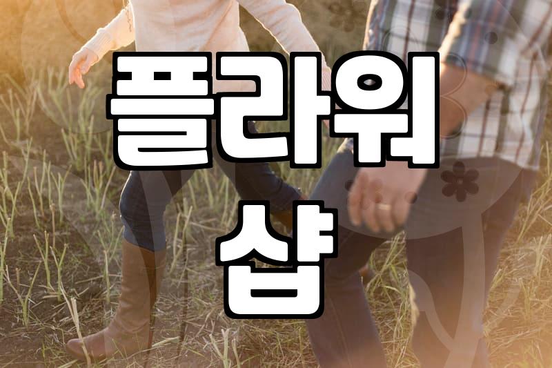 꽃바구니당일배달 신청 전 반드시 확인해야 할 현실적인 체크리스트