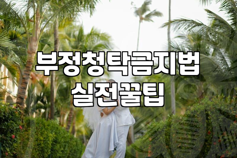 스승의 날, 카네이션 선물, 어디까지 알고 계신가요?