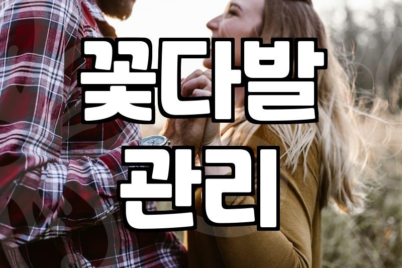 아침 일찍 문 여는 꽃집 찾다가 포기할 뻔한 이야기